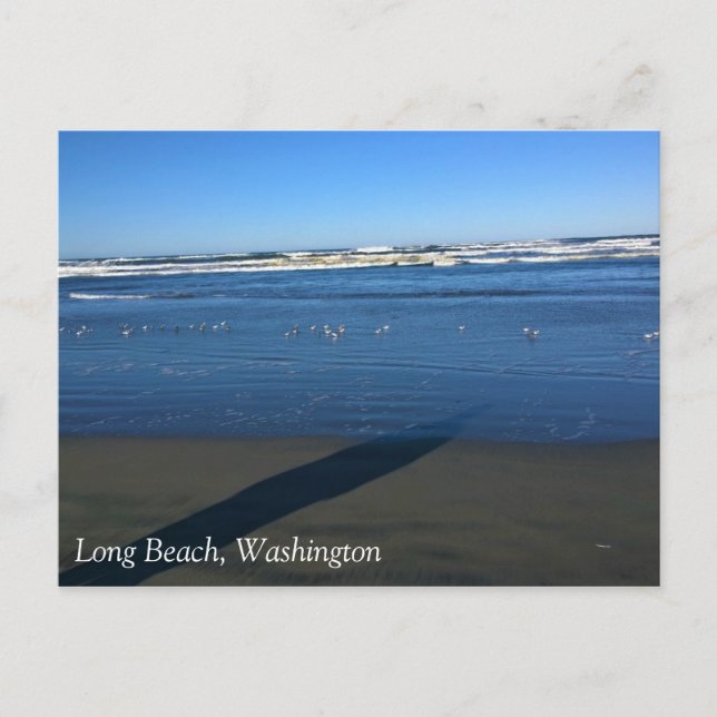 Long Beach, Washington Vykort (Framsida)