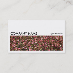 Long Bild 0234 - Rosa Cherry Blommar Visitkort