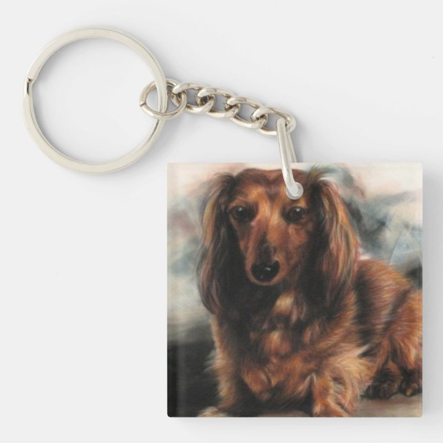 Long-hågad Dachshund-hund (Framsidan)