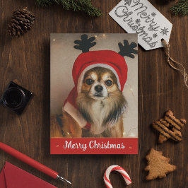 Long Hair Chihuahua Pet Funny Cute Hund jul Julkort