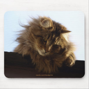 Long-hair Tabby katt Mousepad Musmatta