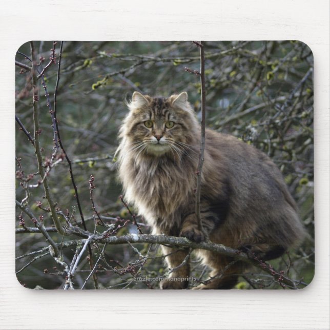 Long-hair Tabby katt Mousepad Musmatta (Framsidan)