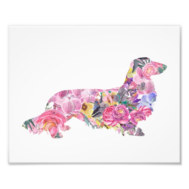 Long-hårad Dachshund Fototryck (Framsidan)