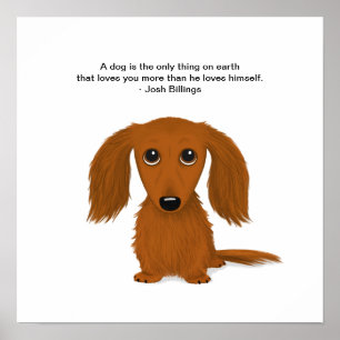 Long-hårig Dachshund med Josh Billings Quote Poster