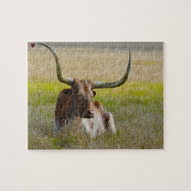 Long Horn Cattle Texas Jigszle Puzzle Pussel (Horisontell)