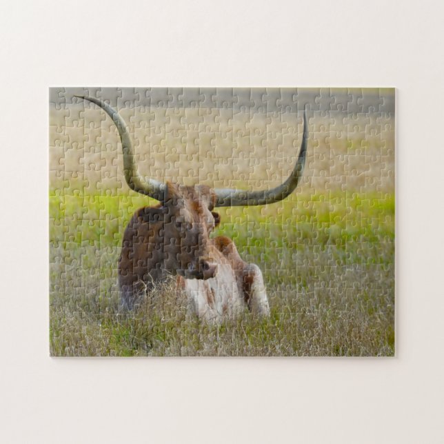 Long Horn Cattle Texas. Jigszle Puzzle Pussel (Horisontell)
