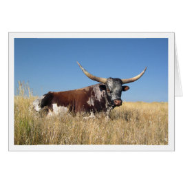 Long Horn Hälsningskort