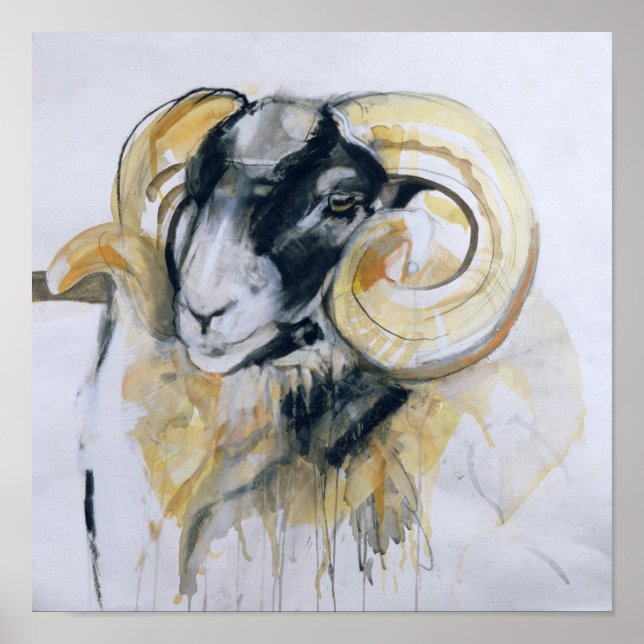 Long Horn Sheep Poster (Framsidan)