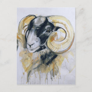Long Horn Sheep Vykort