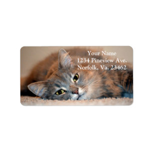 Long Hved Blue Russian Cat av Shirley Taylor Adressetikett