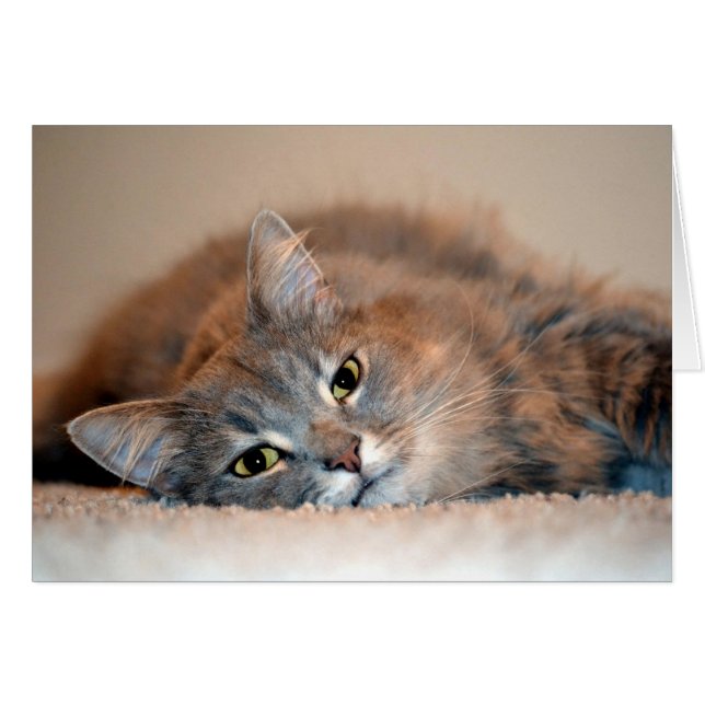 Long Hved Blue Russian Cat av Shirley Taylor Hälsningskort (Framsidan Horizontal)