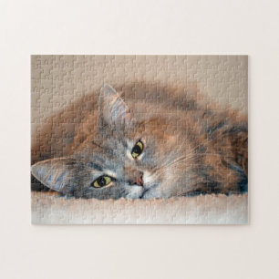 Long Hved Blue Russian Cat av Shirley Taylor Pussel