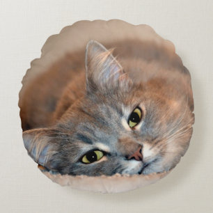 Long Hved Blue Russian Cat av Shirley Taylor Rund Kudde