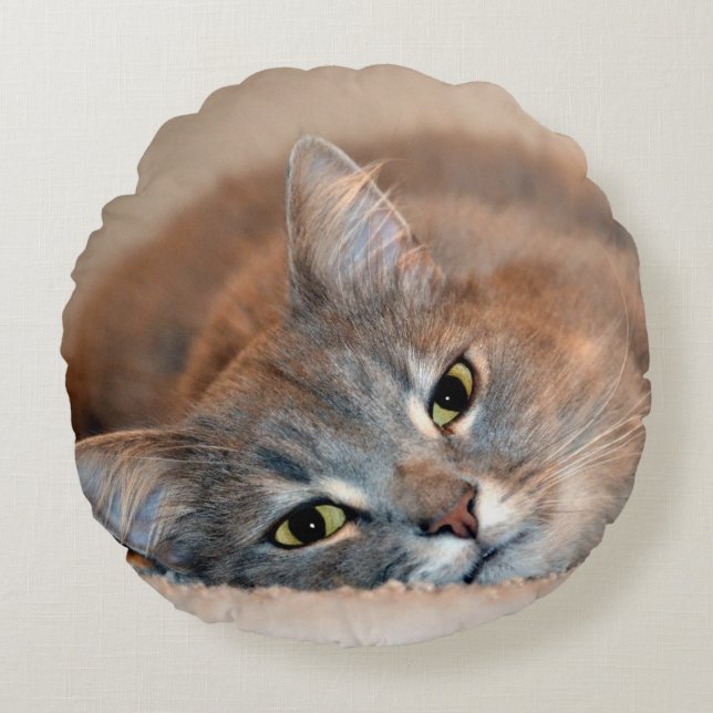 Long Hved Blue Russian Cat av Shirley Taylor Rund Kudde (Framsidan)