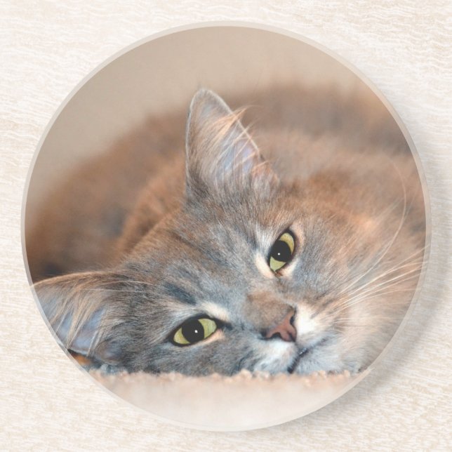 Long Hved Blue Russian Cat av Shirley Taylor Underlägg (Framsidan)