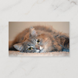 Long Hved Blue Russian Cat av Shirley Taylor Visitkort