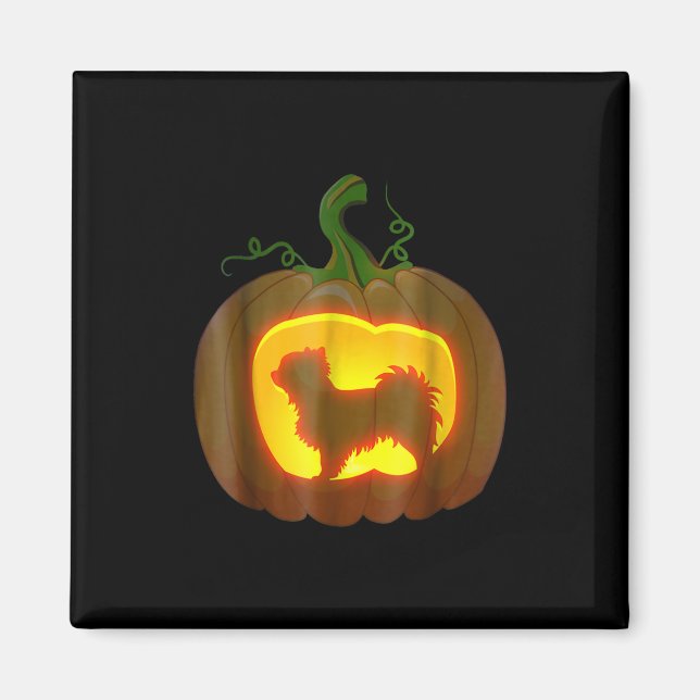 Long-Hved Chihuahua Halloween Magnet (Framsidan)