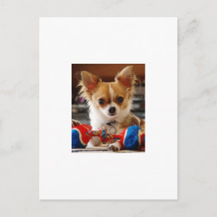 Long Hved Chihuahua Vykort
