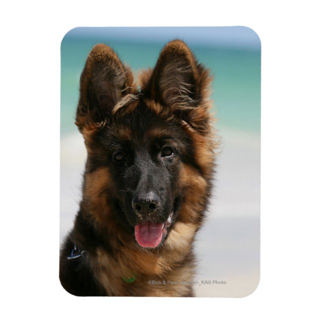 Long-Hved German Shepherd Beach Magnet (Vertikal)