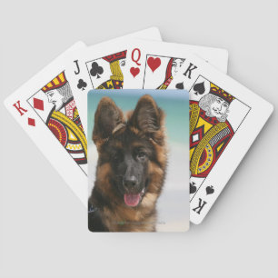 Long-Hved German Shepherd Beach Spelkort