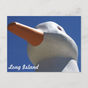 Long Island Anka 2 Vykort