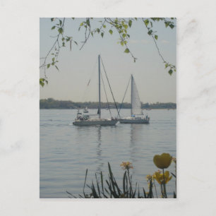 Long Island Sound Vykort