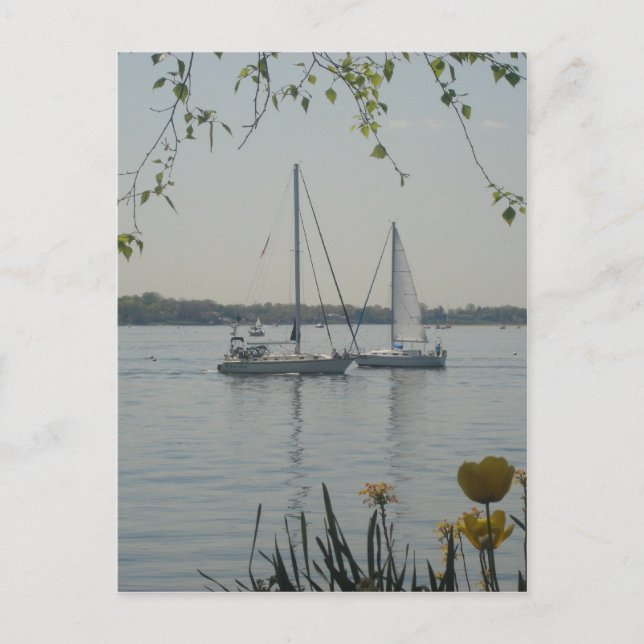 Long Island Sound Vykort (Framsida)