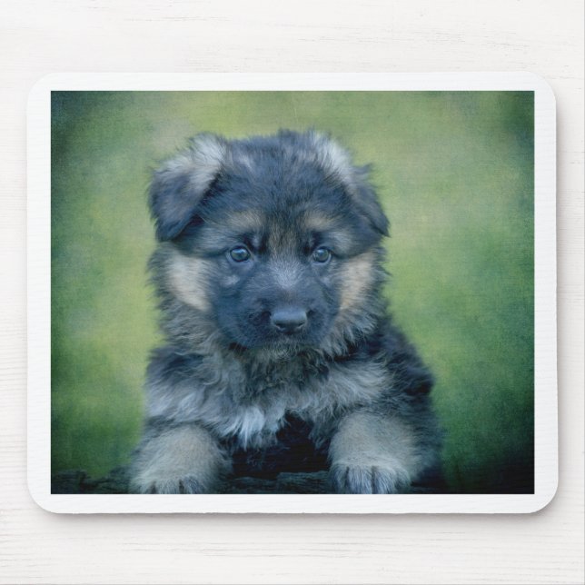 Long Jackat Tyska shepherd Puppy Musmatta (Framsidan)