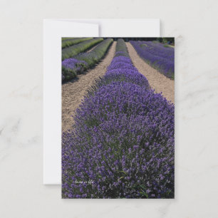 Long Lavender Row Anteckningskort