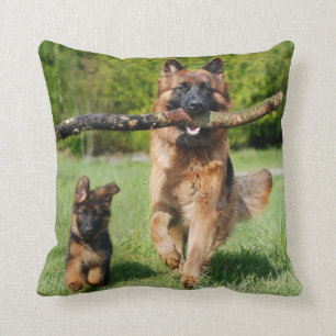 Long-parad Fluffy German Shepherd Hund and Puppy Kudde