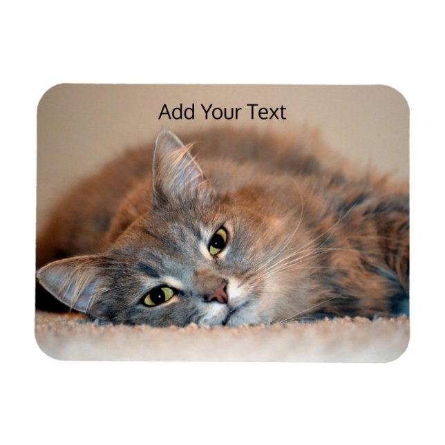 Long-parad Russian Blue Cat by Shirley Taylor Magnet (Horisontell)