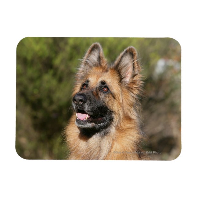Long-partysk schepherd 1 magnet (Horisontell)