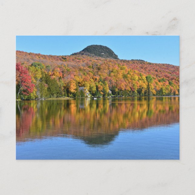 Long Pond in Autumn, Westmore, Vermont Vykort (Framsida)