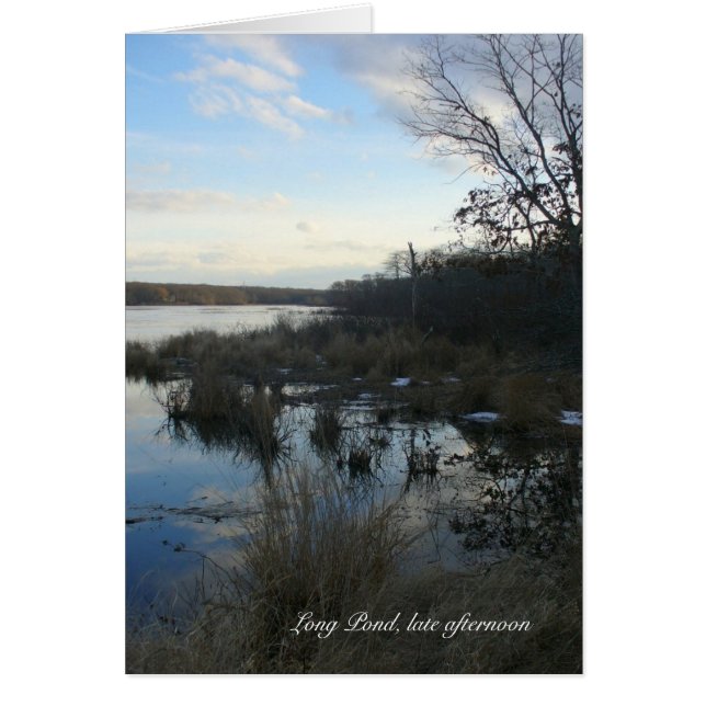 Long Pond sen eftermiddag OBS Kort (Framsidan)