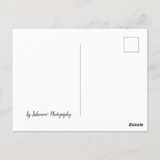 Long Road Home - car on Highway Vykort