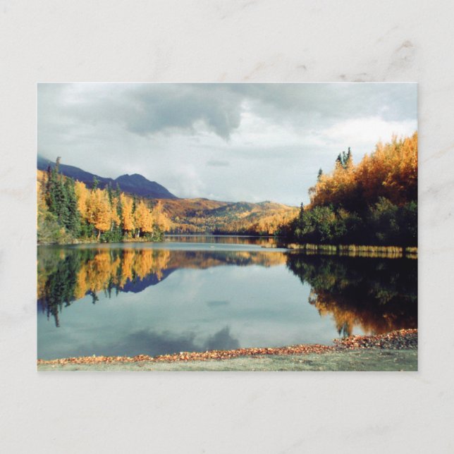 Long Sjö State Park Vykort (Framsida)