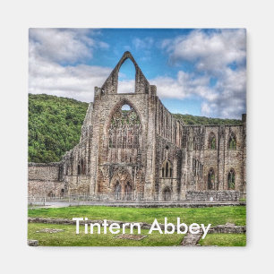 Long View Ancient TAT Abbey, Wales, UK Magnet