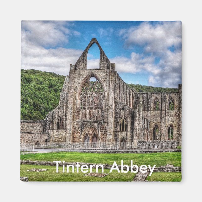 Long View Ancient TAT Abbey, Wales, UK Magnet (Framsidan)
