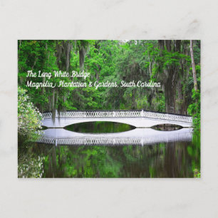 Long White Bridge-vykort Vykort
