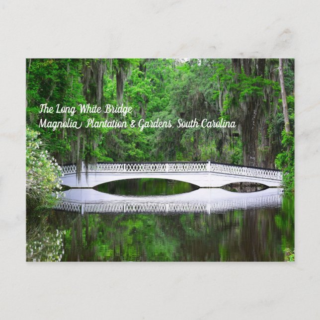 Long White Bridge-vykort Vykort (Framsida)