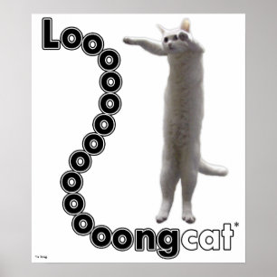 Longcat är långt poster