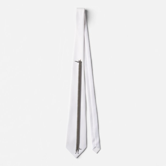 Longcat Tie Slips (Framsida)