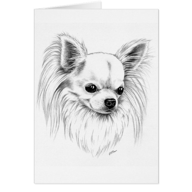 Longcoat chihuahua hälsningskort (Framsidan)