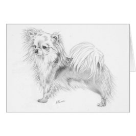 Longcoat chihuahua - stå hälsningskort