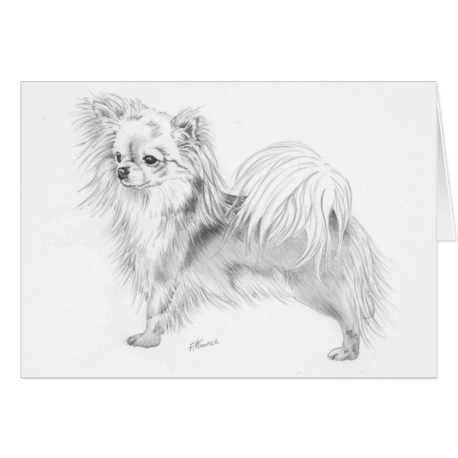 Longcoat chihuahua - stå hälsningskort (Framsidan Horizontal)