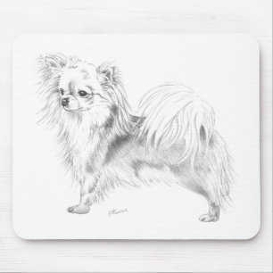 Longcoat chihuahua - stå musmatta