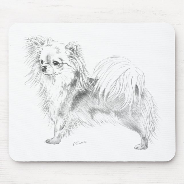 Longcoat chihuahua - stå musmatta (Framsidan)