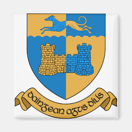Longford Irland Magnet