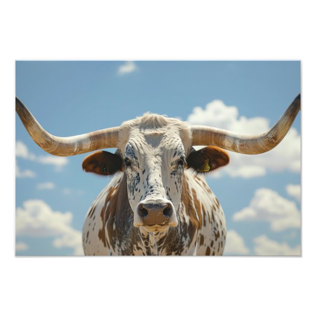 Longhorn Bull Fototryck (Framsidan)