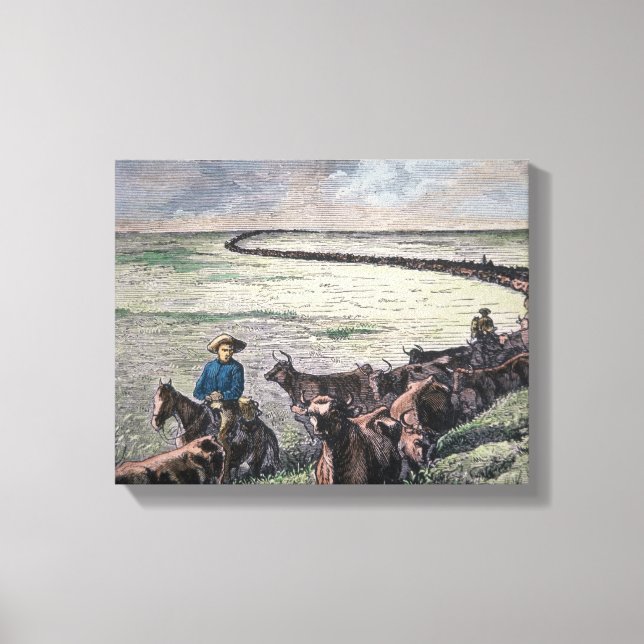Longhorn cattle drive from Texas to Abilene, Kansa Canvastryck (Framsida)